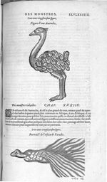 Fig. 326. Autruche / Fig. 327. Oiseau du paradis - Les Oeuvres d’Ambroise Paré, conseiller et premie [...]