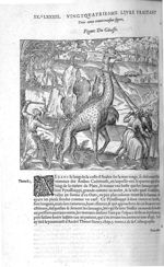 Fig. 331. Giraffe - Les Oeuvres d’Ambroise Paré, conseiller et premier chirurgien du roy, divisées e [...]