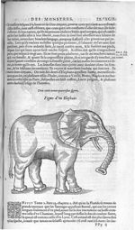 Fig. 334. Elephant - Les Oeuvres d’Ambroise Paré, conseiller et premier chirurgien du roy, divisées  [...]