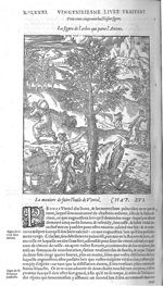 Fig. 358. Figure de l'arbre qui porte l'Ancens - Les Oeuvres d’Ambroise Paré, conseiller et premier  [...]