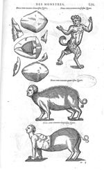 Fig. 292-293-294-295 - Les Oeuvres d’Ambroise Paré, conseiller et premier chirurgien du roy, divisée [...]
