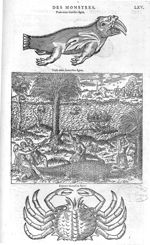 Fig. 310-312 - Les Oeuvres d’Ambroise Paré, conseiller et premier chirurgien du roy, divisées en vin [...]