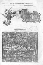Fig. 322-323-324 - Les Oeuvres d’Ambroise Paré, conseiller et premier chirurgien du roy, divisées en [...]