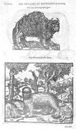 Fig. 335-337 - Les Oeuvres d’Ambroise Paré, conseiller et premier chirurgien du roy, divisées en vin [...]