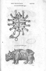 Fig. 338-339 - Les Oeuvres d’Ambroise Paré, conseiller et premier chirurgien du roy, divisées en vin [...]