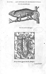 Fig. 340-341 - Les Oeuvres d’Ambroise Paré, conseiller et premier chirurgien du roy, divisées en vin [...]