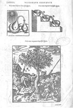 Fig. 352-353-355 - Les Oeuvres d’Ambroise Paré, conseiller et premier chirurgien du roy, divisées en [...]