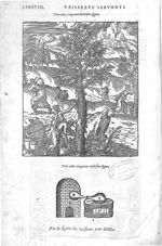Fig. 358-359 - Les Oeuvres d’Ambroise Paré, conseiller et premier chirurgien du roy, divisées en vin [...]