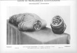 Planche 23. Coupe de tronçonnage sus-hyoïdienne. Photographie d'ensemble - Atlas d'anatomie topograp [...]