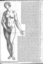 Citra dissectionem occurrentium appellationes - Andreae Vesalii...suorum de humani corporis fabrica  [...]
