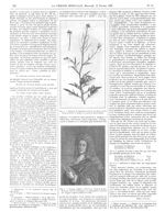 Fig. 1. Rameau de diplotaxe portant des fleurs et des fruits (récolté en Juillet à la porte de Saint [...]