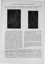 Fig. 7. Schéma des nerfs accélérateurs médullaires / Fig. 8. Schéma de la constitution générale du s [...]