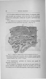 Fig. 7. Surface de l'utérus dont on voit la muqueuse sur la fig. 6 - Concours pour l'agrégation, acc [...]