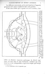 Fig. 3. Restitution des différents points de la courbe du détroit supérieur sur la radiographie elle [...]
