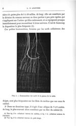 Fig. 1. Boutonnières des nerfs de la paume de la main - Concours pour l'agrégation, section de chiru [...]