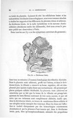 Fig. 34. Déciduome bénin - Concours pour l'agrégation, section de chirurgie et d'accouchements. Expo [...]