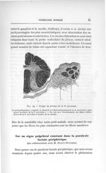 Fig. 24. Coupe au niveau de la 8e cervicale - Titres et travaux scientifiques