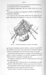 Fig. 15. Colectomie pelvienne, et résection méso-côlique - Titres et travaux scientifiques
