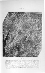 Fig. 4. Cette figure représente la coupe d'un myocarde atteint de dégénérescence graisseuse en îlots [...]