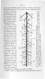 Fig. 9. Acanthias vulgaris (schéma). Partie antérieure de l'aorte, ses branches - Concours pour l'ag [...]
