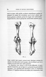 Fig. 7 - Concours d'agrégation des facultés de médecine, 1904, section de chirurgie et d'accouchemen [...]