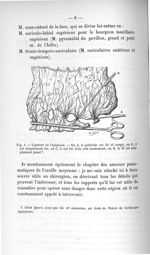 Fig. 1. Ligature de l'épiploon - Titres et travaux scientifiques