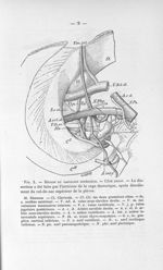 Fig. 2. Région du ganglion inférieur. - Côté droit - Titres et travaux scientifiques