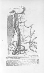 Fig. 4. Sympathique cervical - Titres et travaux scientifiques