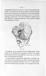 Fig. 11 - Titres et travaux scientifiques