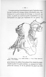 Fig. 14 - Titres et travaux scientifiques
