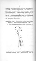 Fig. 17 - Titres et travaux scientifiques