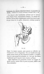 Fig. 20 - Titres et travaux scientifiques