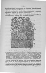 Fig. 3. Ganglion normal (ganglion inguinal de cobaye sain) - Exposé des titres et travaux scientifiq [...]