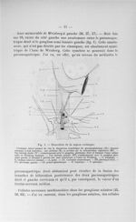 Fig. 1. Dissection de la région coeliaque - Exposé des titres et travaux scientifiques