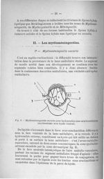 Fig. 8. Myéloméningocèle ouverte avec hydrorachis sous-arachnoidienne (myéloschisis avec kyste ventr [...]