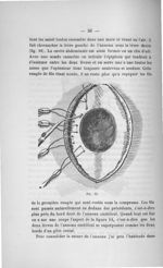Fig. 15 - Titres et travaux scientifiques