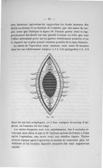 Fig. 16 - Titres et travaux scientifiques
