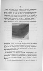 Fig. 32 - Titres et travaux scientifiques