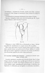 Fig. 14 - Concours d'agrégation de chirurgie et d'accouchements, 1904. Exposé des titres et travaux  [...]