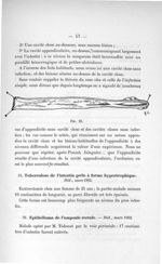Fig. 15 - Concours d'agrégation de chirurgie et d'accouchements, 1904. Exposé des titres et travaux  [...]