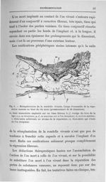 Fig. 6. Réimplantation de la rondelle vivante - Exposé des titres et des travaux scientifiques