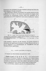 Fig. 14. Coupe vertico-transversale selon XY de la fig. 13 - Addenda aux titres scientifiques