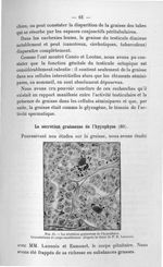 Fig. 11. La sécrétion graisseuse de l'hypophyse - Exposé des titres et des travaux scientifiques. Ja [...]