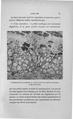 Dégénérescence graisseuse et liquéfaction des fibres cardiaques - Concours d'agrégation, 1906, Titre [...]