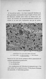 Hypertrophie des noyaux des fibres cardiaques - Concours d'agrégation, 1906, Titres et travaux