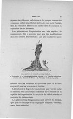 Organisation du caillot dans la phlébite - Concours d'agrégation, 1906, Titres et travaux