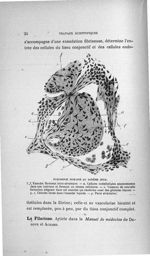 Pneumonie humaine au dixième jour - Concours d'agrégation, 1906, Titres et travaux