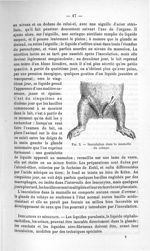Fig. 3. Inoculation dans la mamelle du cobaye - Exposé des titres et travaux scientifiques