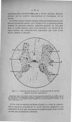 Fig. 7. Centres vaso-moteurs et trophiques de la moelle. (Région dorsale supérieure.) - Titres et tr [...]