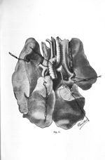 Fig. 4 - Concours d'agrégation de médecine, avril 1907. Exposé des titres et travaux scientifiques